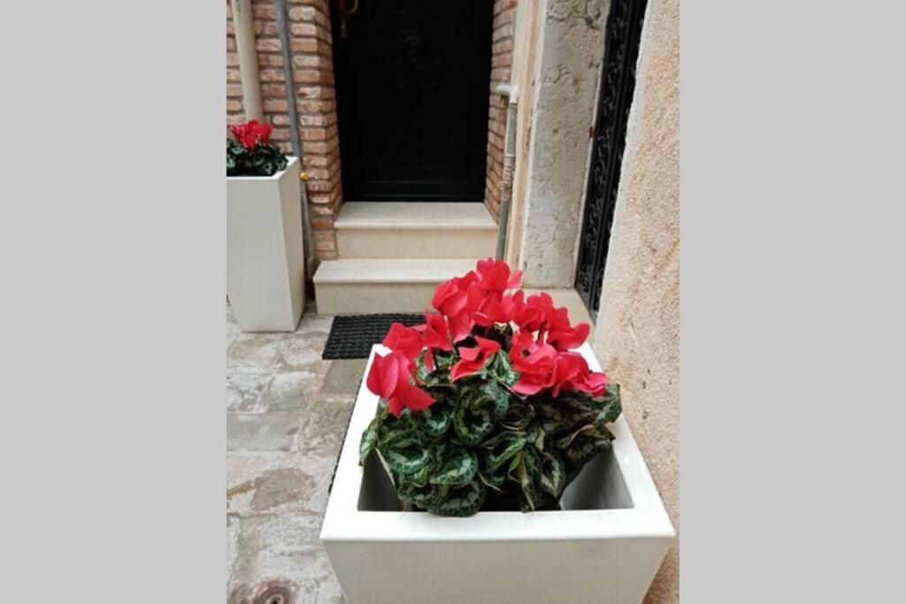 Ca Cici Venice Loft Apartment Eksteriør billede